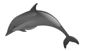 silverphoenix-2022Compatibility-silver dolphin